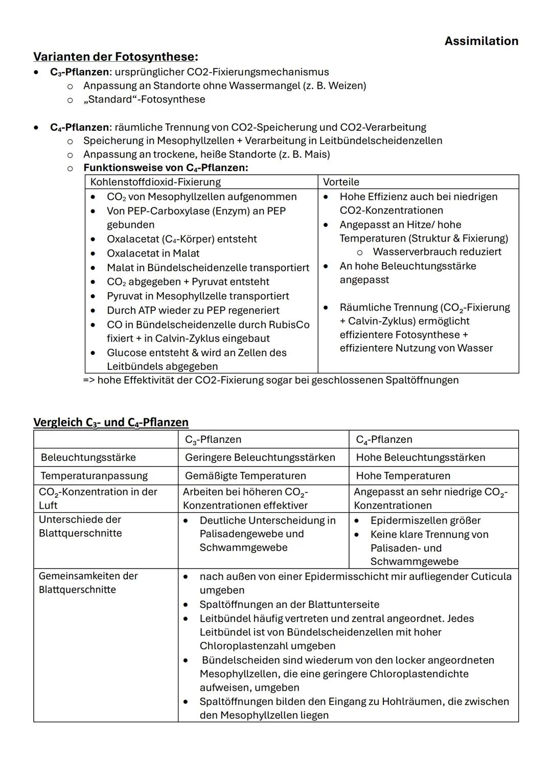 Assimilation
Das bifaziale Laubblatt Querschnitt:
| Struktur | Funktion |
|---|---|
| 1,6 Kutikula | Verdunstungsschutz |
| 2,5 Obere und u