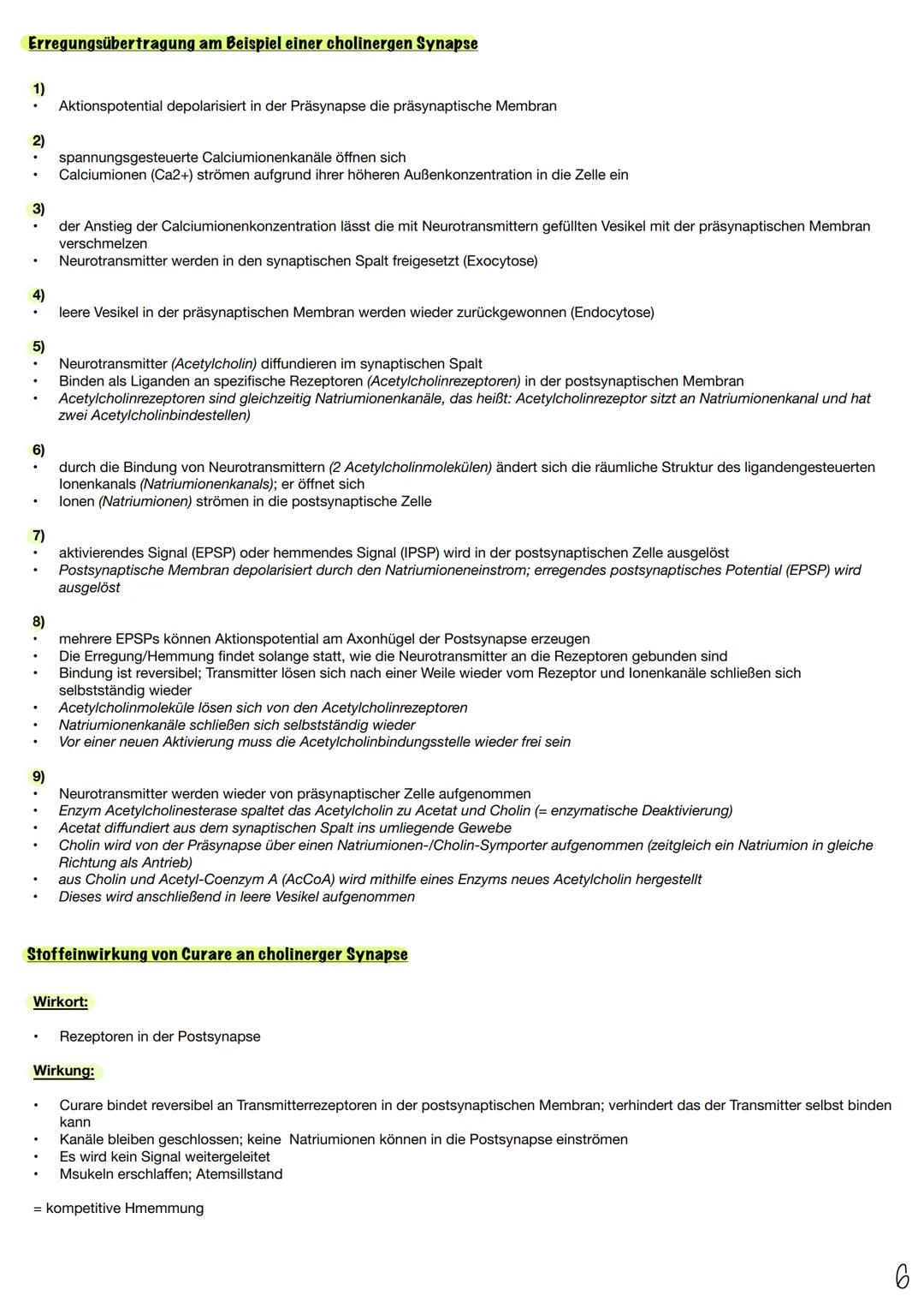--- OCR Start ---
Bau der Nervenzelle
Q3.1 Neurobiologie
Dendrit
Neuron Aufbau
Soma
Axonhügel
Zellkern
Axon
Myelinscheide
Schwannsche Zelle