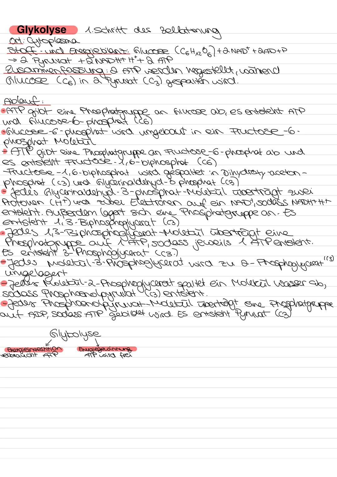 --- OCR Start ---
Glossar
ATP: Adenintriphosphat, universelle Energieträger in
denzellen - Enthält 3 Phosphatreste, zucker, 1
Adenin: Energ