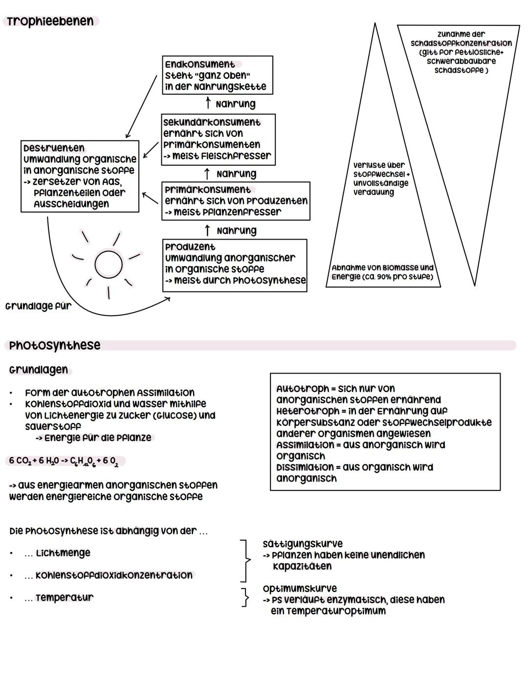 --- OCR Start ---
Ökologie
umweltfaktoren
8
8
Abiotische Umweltfaktoren
physikalische und chemische Faktoren der unbelebten umwelt
-> z. B.