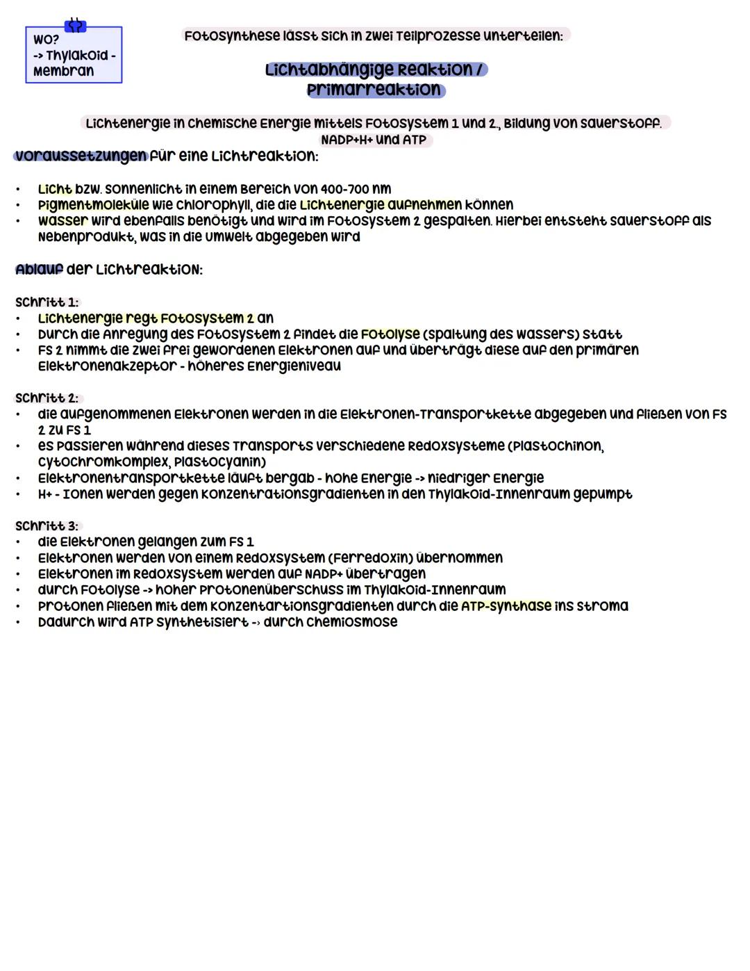 --- OCR Start ---
Stoffwechselphysiologie
Assimilation durch Fotosynthese
umwandlung von Licht in
chemisch gebundene
Energie
↓
Primärprozess