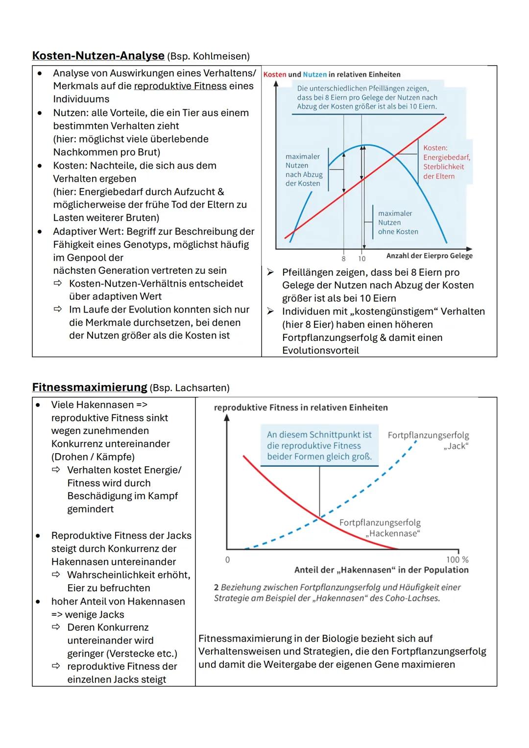 # Kosten-Nutzen-Analyse (Bsp. Kohlmeisen)
- Analyse von Auswirkungen eines Verhaltens/ Merkmals auf die reproduktive Fitness eines Individu