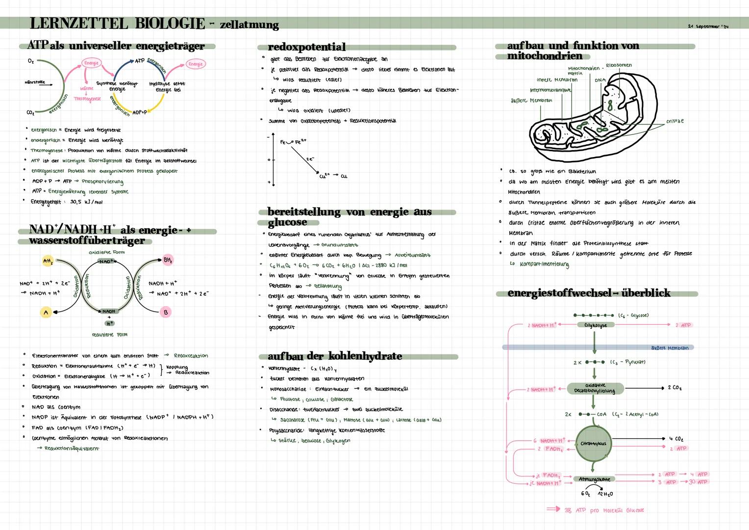 # LERNZETTEL BIOLOGIE - zellatmung
ATP als universeller energieträger
Ο
ATP exeroonisch
Energie
Energie
Nährstoffe
wärme
Synthese be
