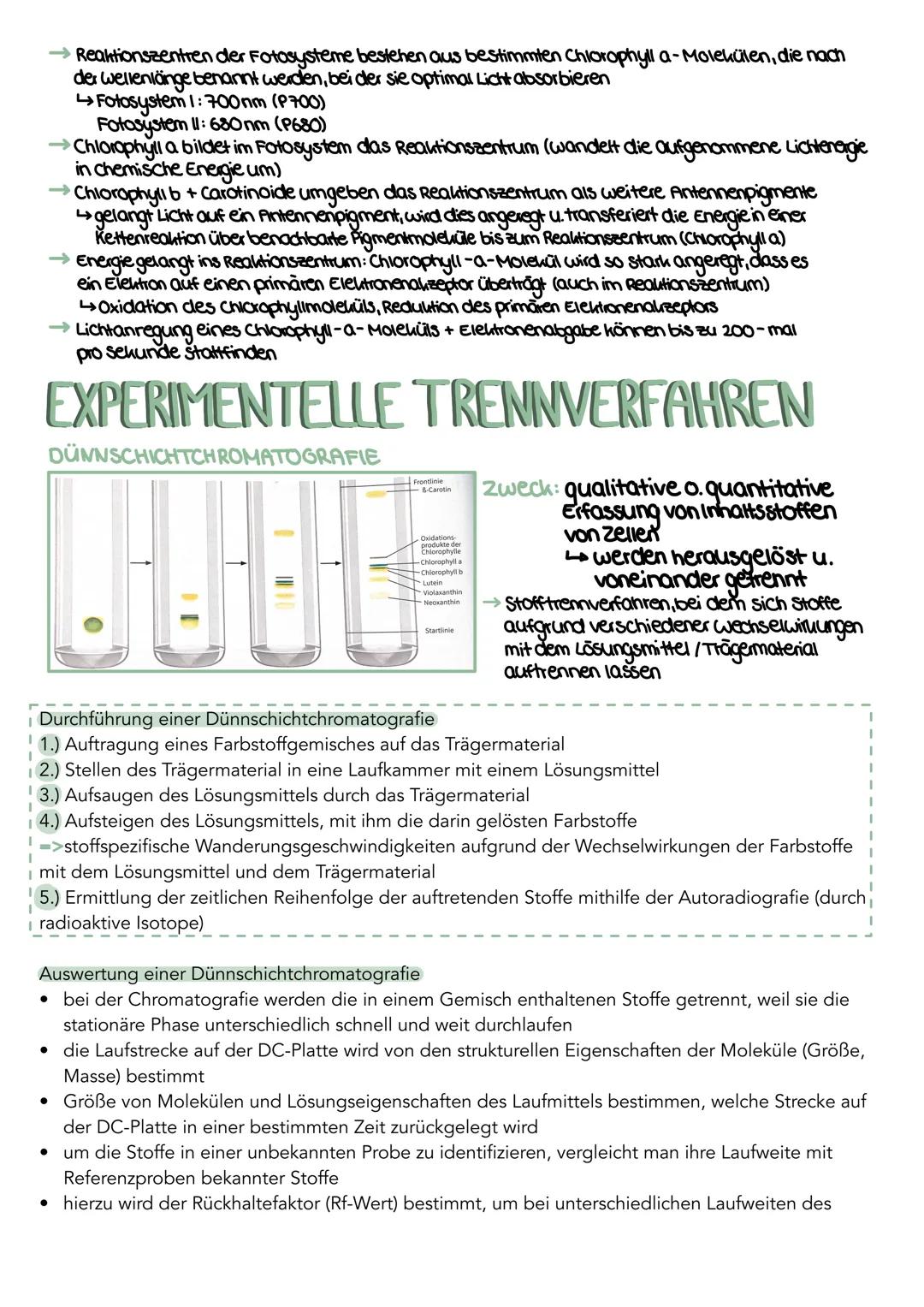--- OCR Start ---
GEWEBE
STRUKTUR
FUNKTION
Culicula
wachsarlig, dünn, licht durchlassig
Verdunslungsschulz
Obere Epidermis
chloroplastenfrei