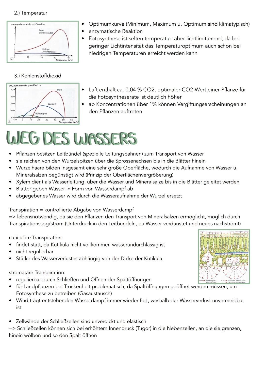 --- OCR Start ---
GEWEBE
STRUKTUR
FUNKTION
Culicula
wachsarlig, dünn, licht durchlassig
Verdunslungsschulz
Obere Epidermis
chloroplastenfrei