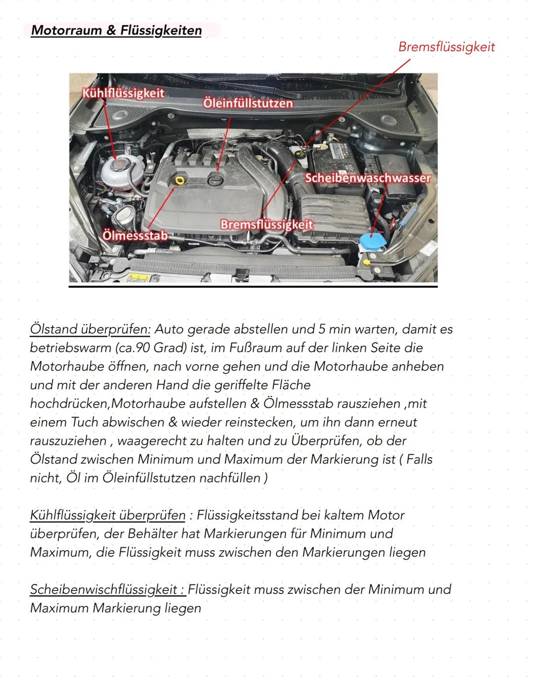 # Abfahrtkontrolle -praktische Fahrprüfung-
• Beleuchtung & Sicht
• Abblendlicht -> auf Funktion überprüfen: Motor starten, Lichtschalter