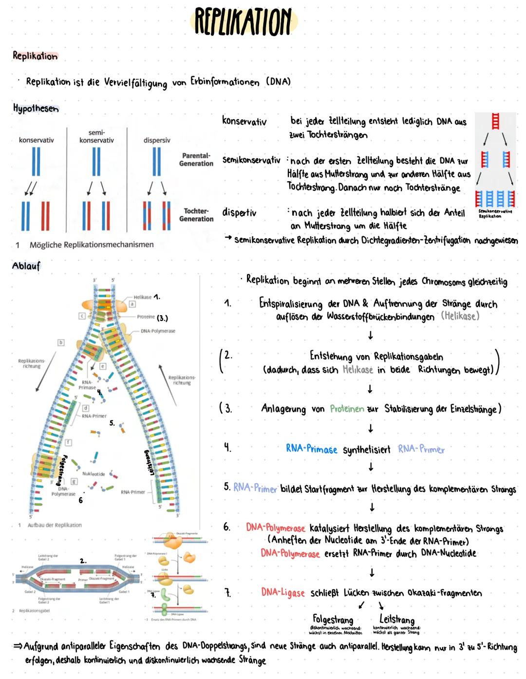 --- OCR Start ---
Zellzyklus
GRUNDLAGEN
DNA vollständig und
fehlerfrei verdoppelt?
G2-Kontrollpunkt
Zellkern
Zelle
Zellzyklusphase Zeit (Std