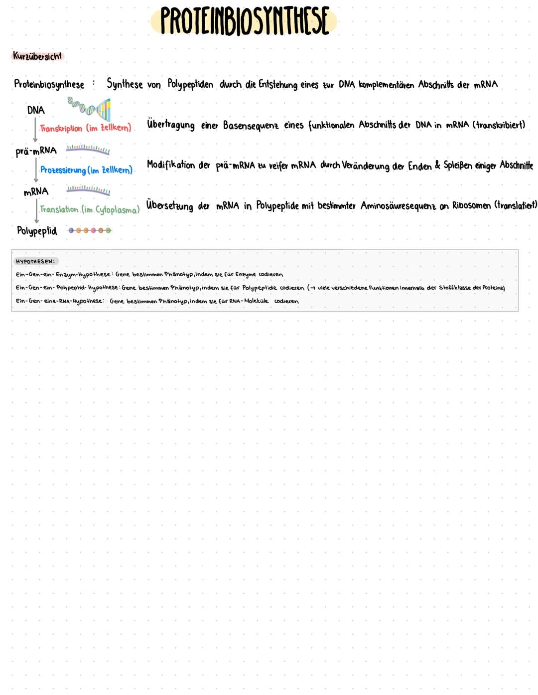 --- OCR Start ---
Zellzyklus
GRUNDLAGEN
DNA vollständig und
fehlerfrei verdoppelt?
G2-Kontrollpunkt
Zellkern
Zelle
Zellzyklusphase Zeit (Std