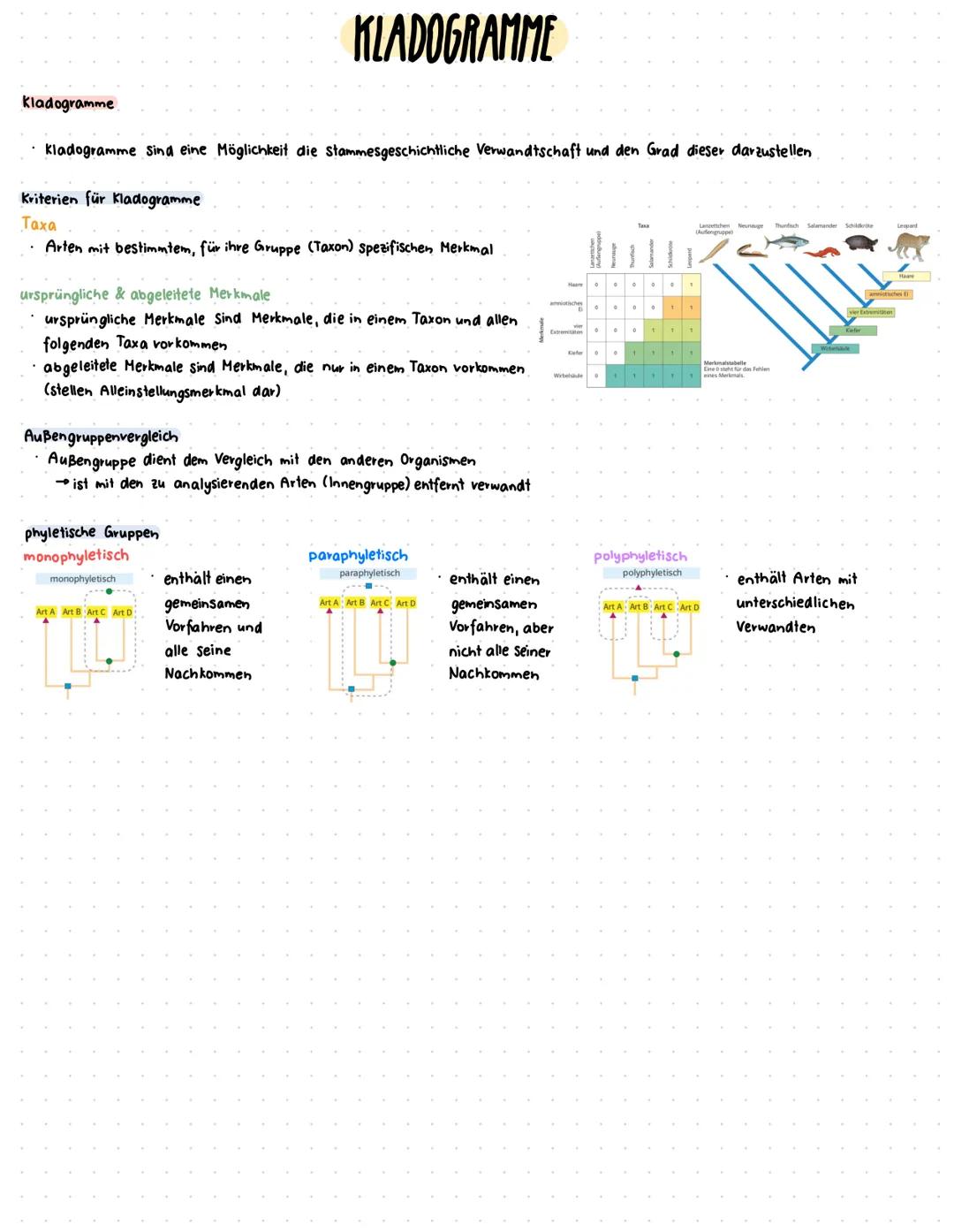 # GRUNDLAGEN
# Artbegriffe
morphologischer Artbegriff biologischer Artbegriff populationsgenetischer Artbegriff
Annah