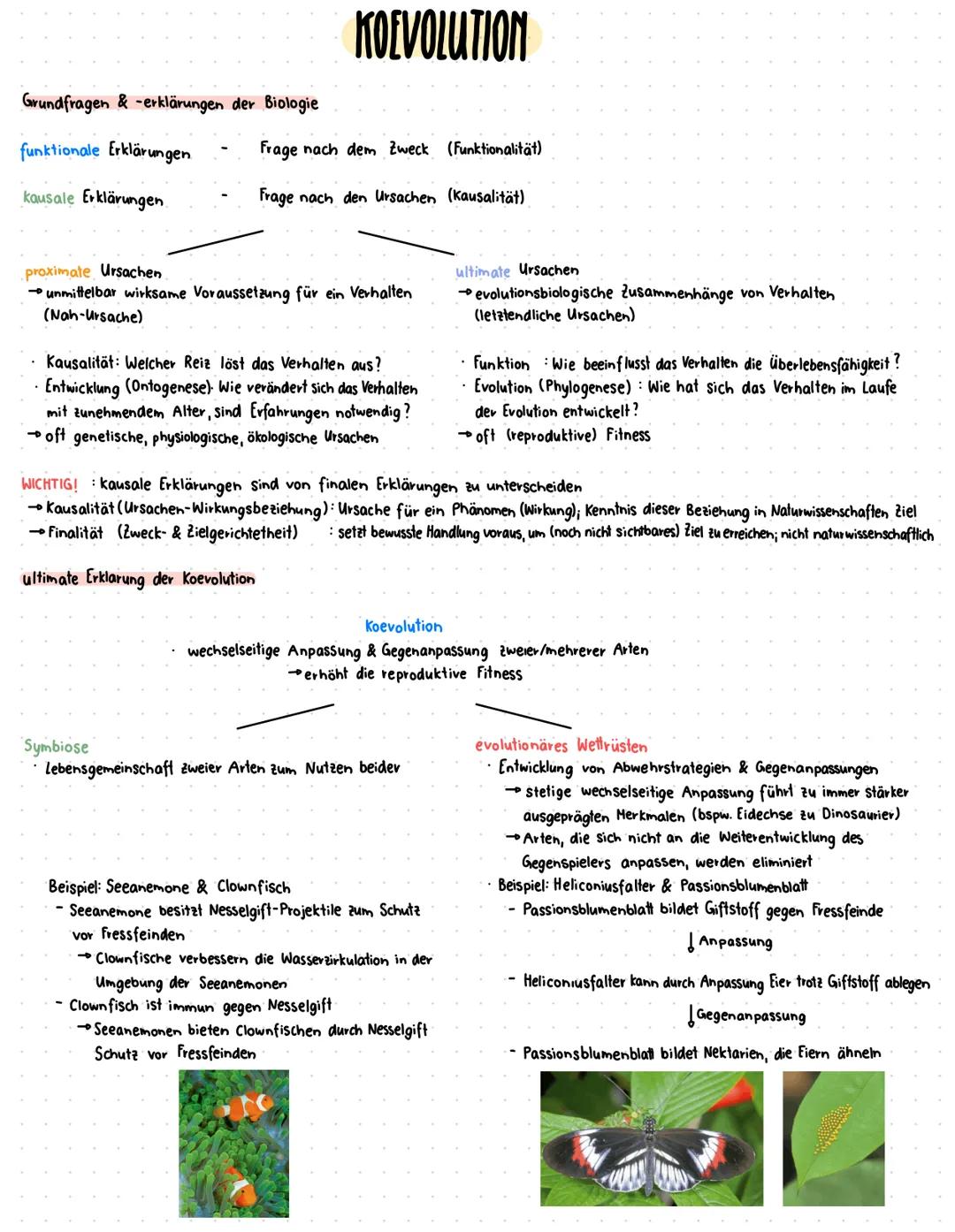 # GRUNDLAGEN
# Artbegriffe
morphologischer Artbegriff biologischer Artbegriff populationsgenetischer Artbegriff
Annah