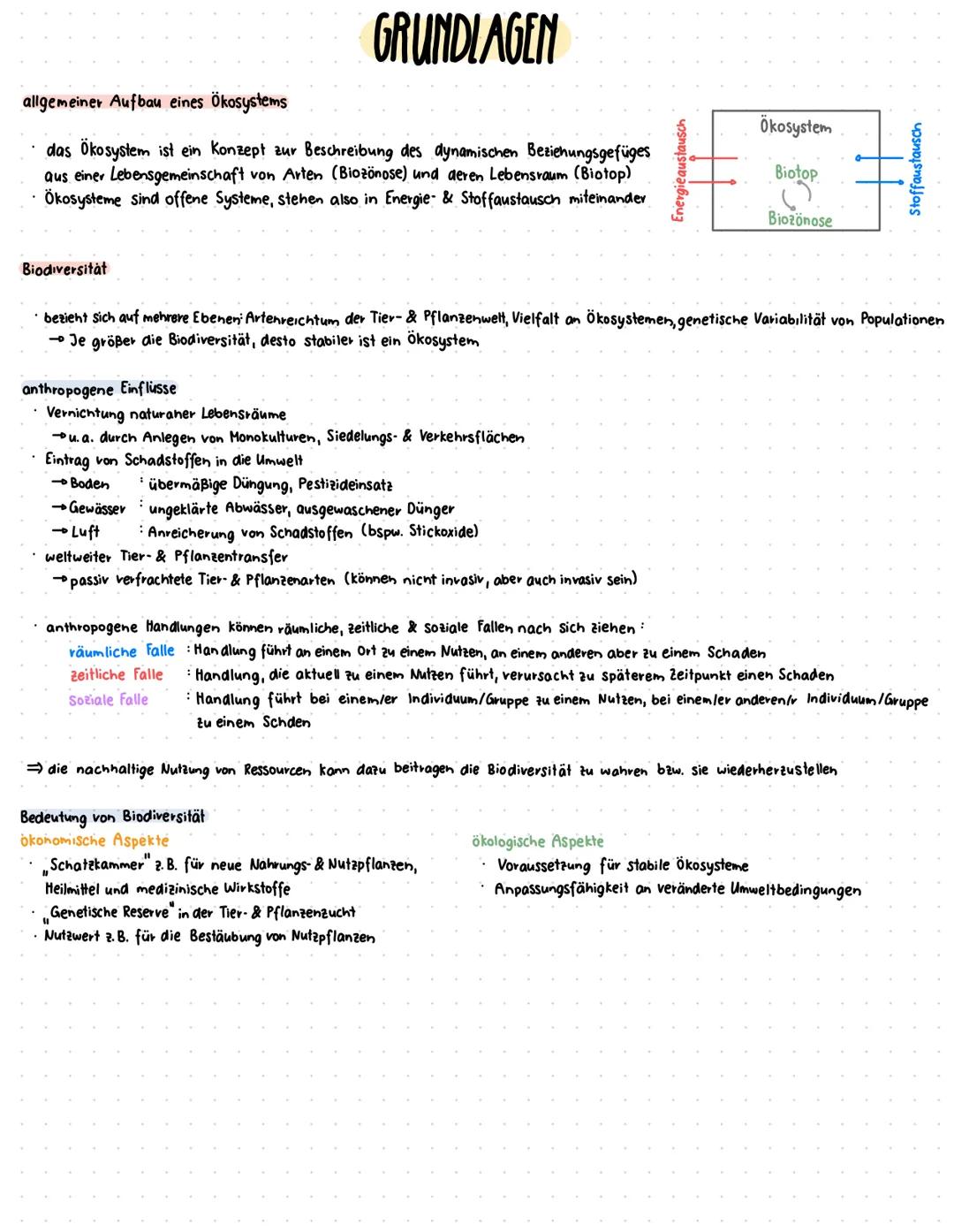 # GRUNDLAGEN
## allgemeiner Aufbau eines Ökosystems
- das Ökosystem ist ein Konzept zur Beschreibung des dynamischen Beziehungsgefüges
 au