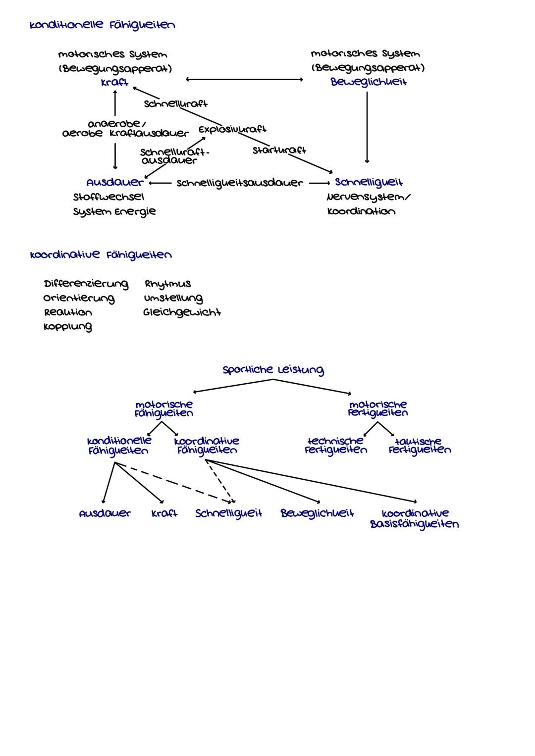 konditionelle Fähigkeiten
motorisches System
(Bewegungsapperat)
kraft
motorisches System
(Bewegungsapperat)
Beweglichueit
Schnelluraft
aero