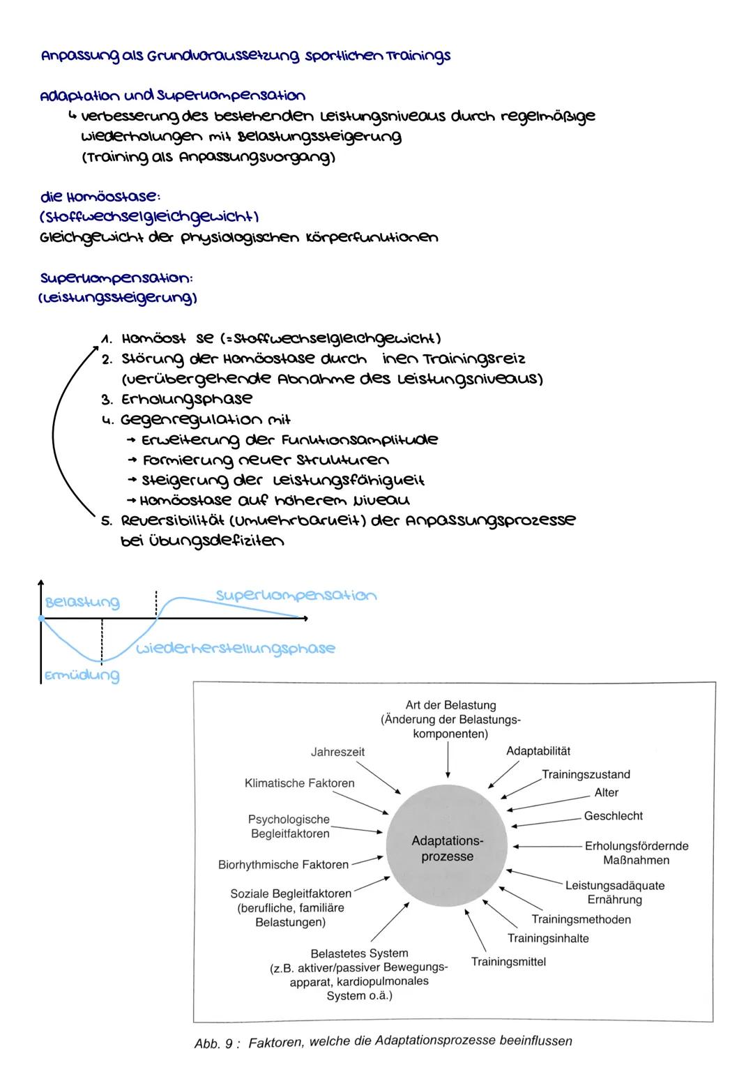konditionelle Fähigkeiten
motorisches System
(Bewegungsapperat)
kraft
motorisches System
(Bewegungsapperat)
Beweglichueit
Schnelluraft
aero