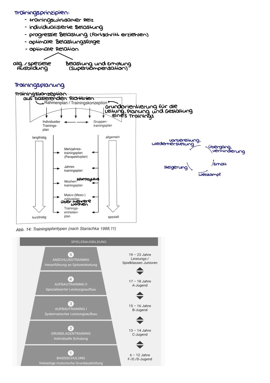 konditionelle Fähigkeiten
motorisches System
(Bewegungsapperat)
kraft
motorisches System
(Bewegungsapperat)
Beweglichueit
Schnelluraft
aero