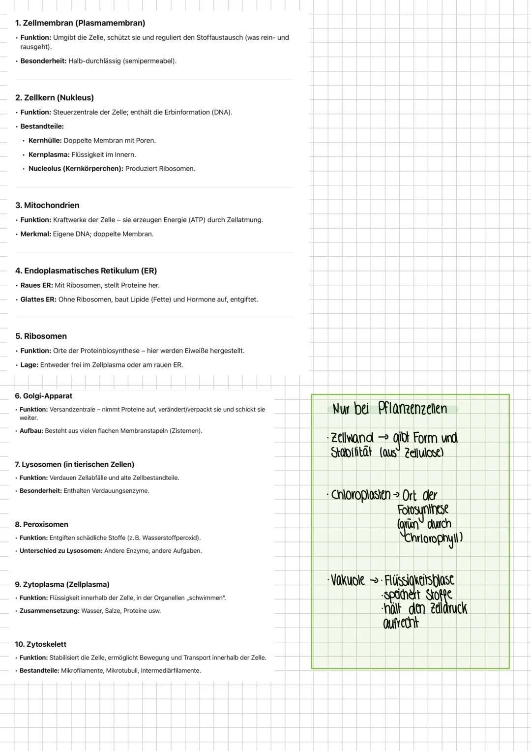 Zellorganellen Funktion