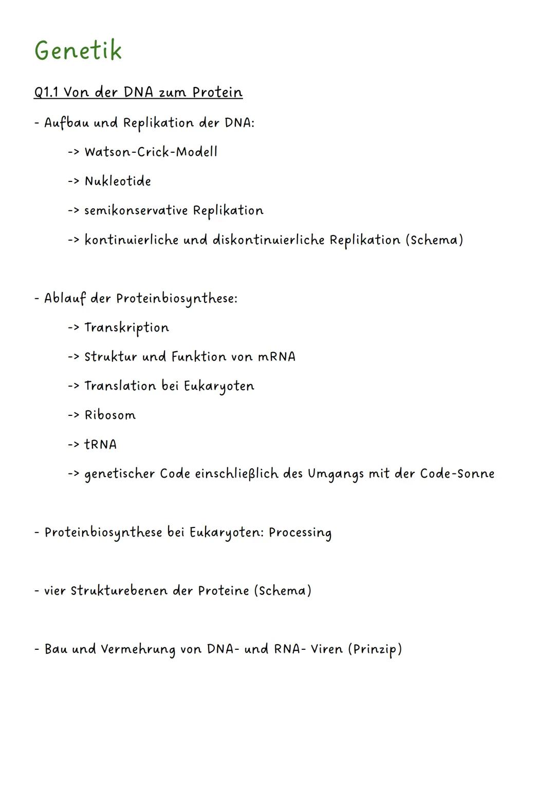 --- OCR Start ---
Genetik
Q1.1 Von der DNA zum Protein
- Aufbau und Replikation der DNA:
-> Watson-Crick-Modell
-> Nukleotide
-> semikonserv