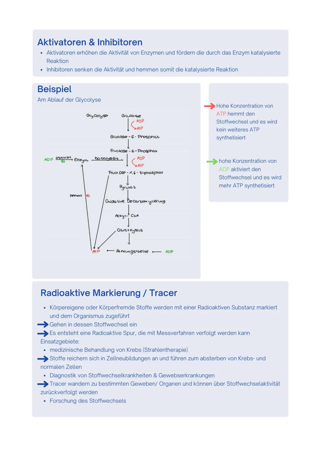 --- OCR Start ---
Enzyme / Biokatalysatoren
- Zentrale Rolle im Stoffwechsel
- setzen nur spezifische Substrate um und katalysieren auch nur