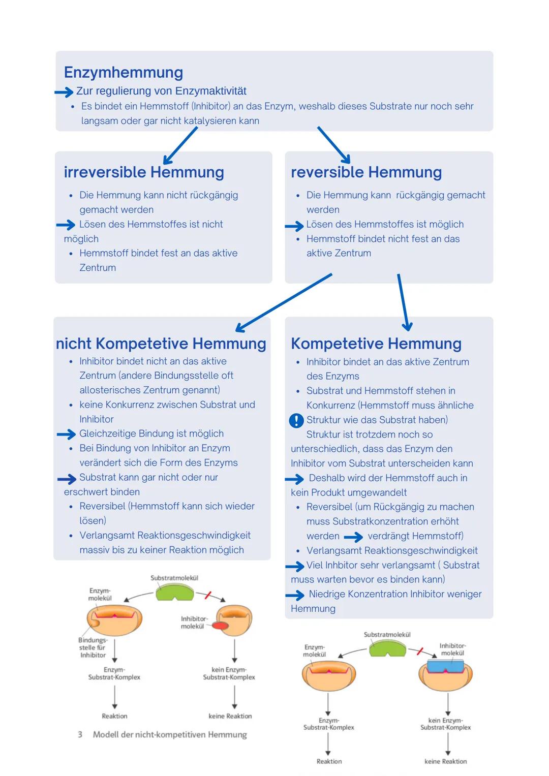 --- OCR Start ---
Enzyme / Biokatalysatoren
- Zentrale Rolle im Stoffwechsel
- setzen nur spezifische Substrate um und katalysieren auch nur
