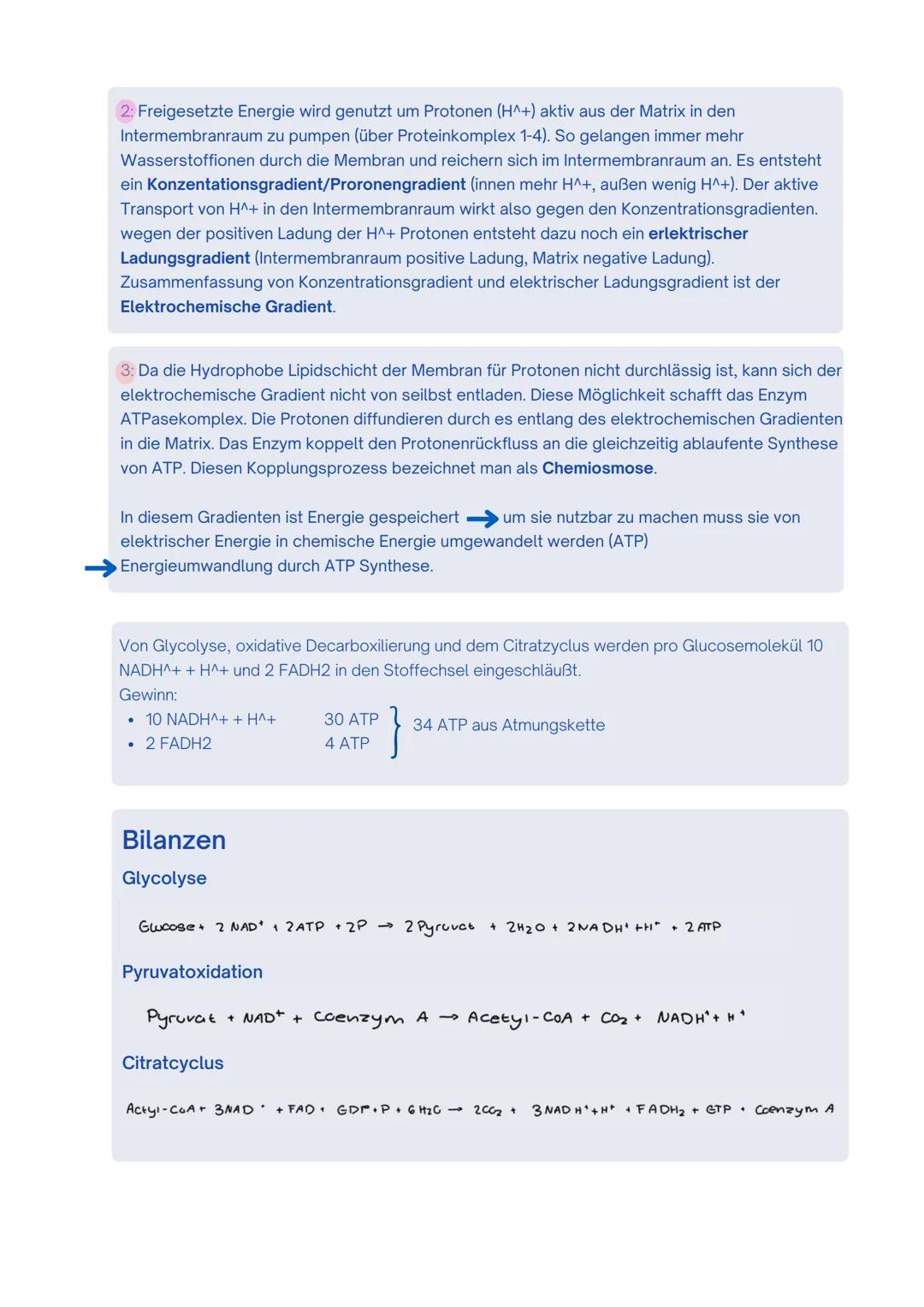 --- OCR Start ---
Enzyme / Biokatalysatoren
- Zentrale Rolle im Stoffwechsel
- setzen nur spezifische Substrate um und katalysieren auch nur