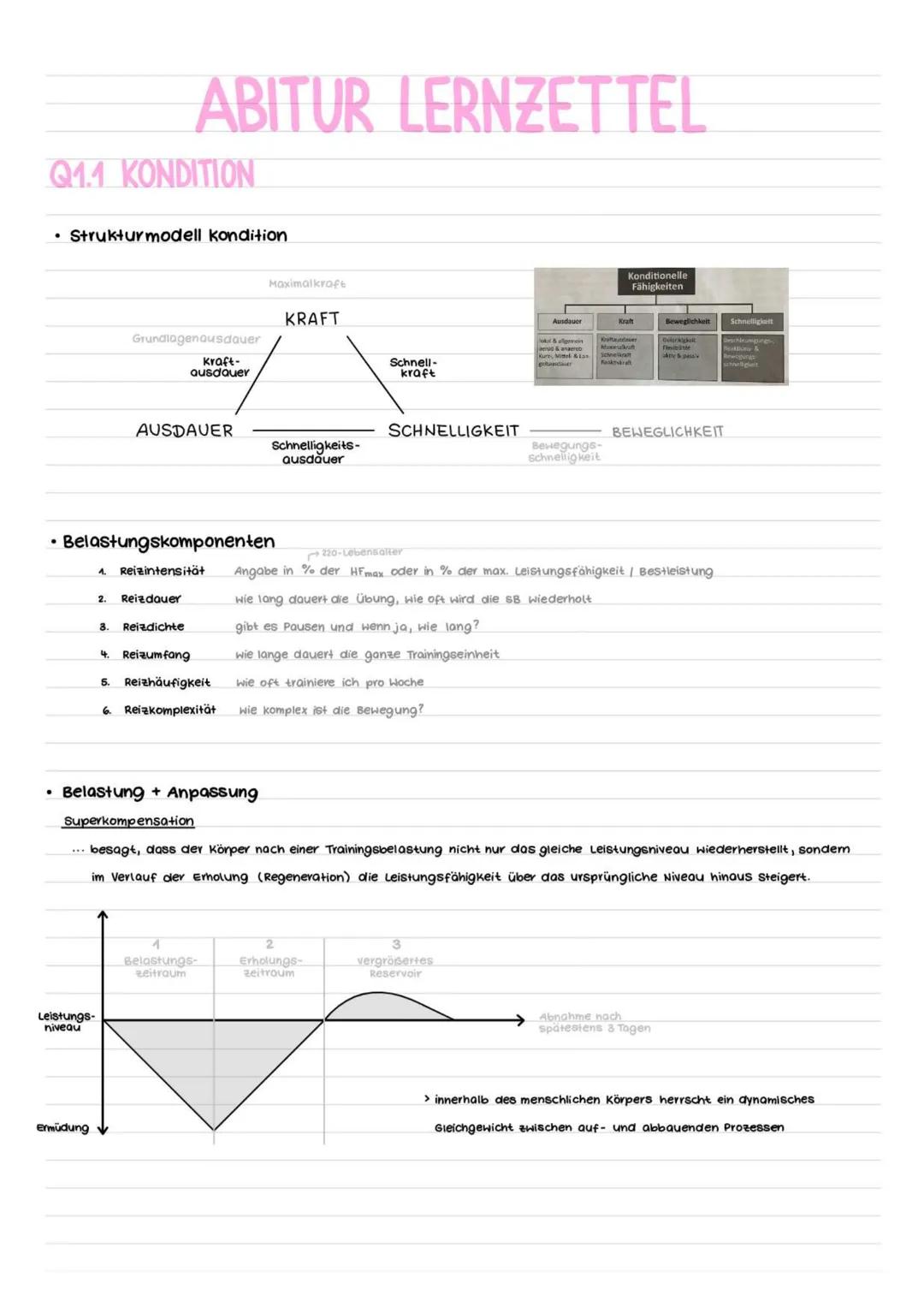 Sport LK Abitur Lernzettel 2025