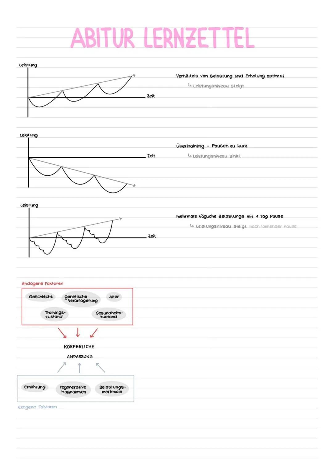# ABITUR LERNZETTEL
Q1.1 KONDITION
* Strukturmodell kondition
Grundlagenausdauer
Kraft-
ausdauer
Maximalkrafu
KRAFT
Sch