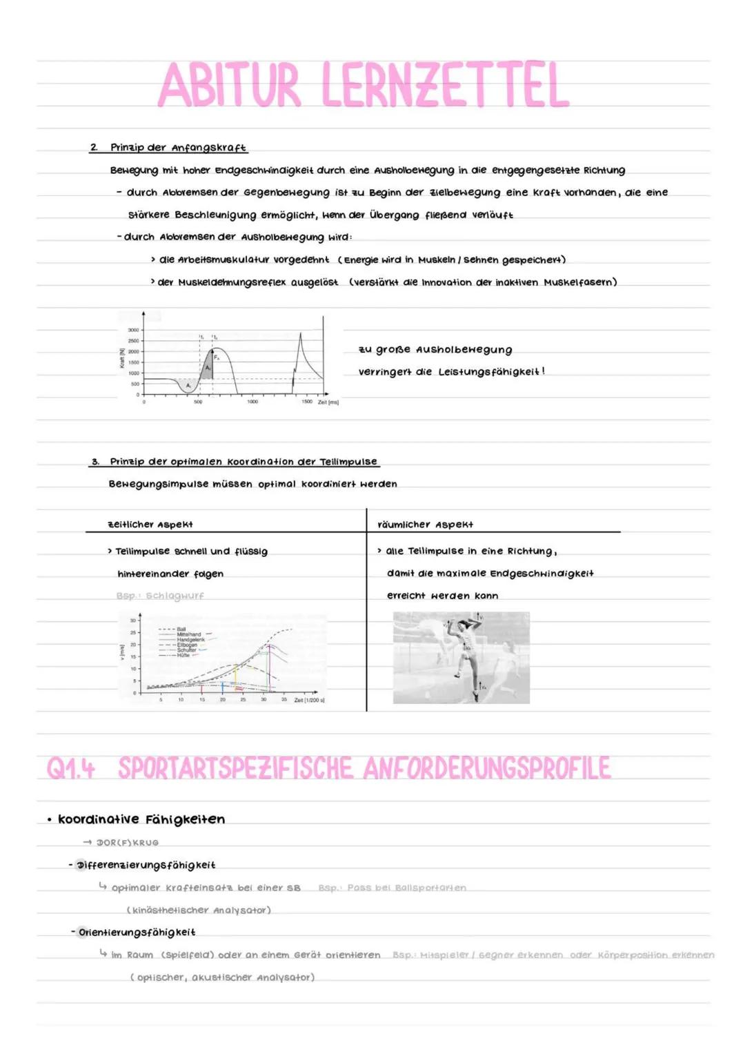 # ABITUR LERNZETTEL
Q1.1 KONDITION
* Strukturmodell kondition
Grundlagenausdauer
Kraft-
ausdauer
Maximalkrafu
KRAFT
Sch