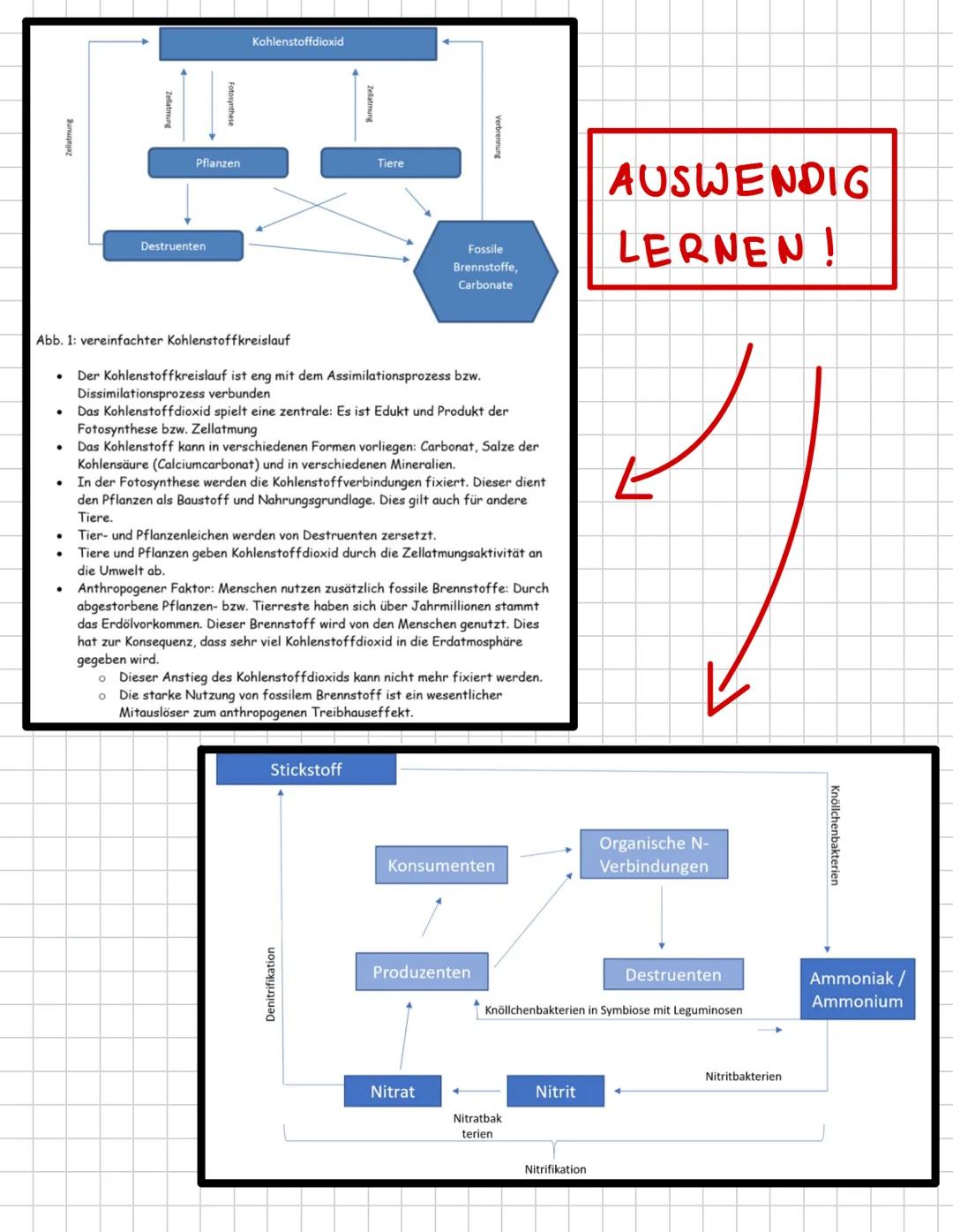 # Ökologie --- OCR Start ---
Inhaltsverzeichnis
•
Biotop und Biozönose: biotische und abiotische Faktoren
Einfluss ökologischer Faktoren auf