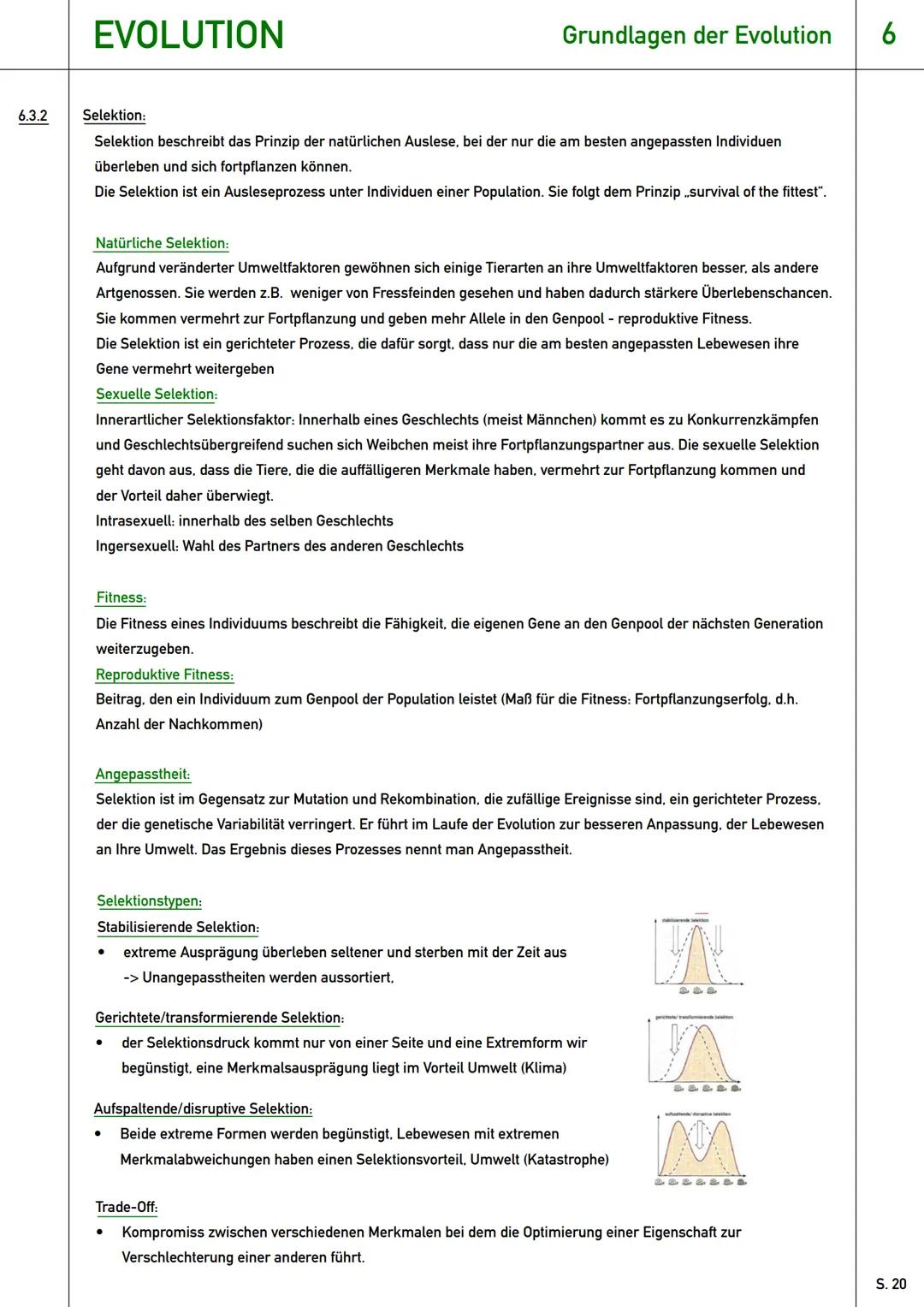 # Evolution
Einführungsphase (E) # EVOLUTION
6.1 Einstieg:
Definition: Evolution (lat. evolvere: ausrollen, entwickeln.
ablaufen) ist die