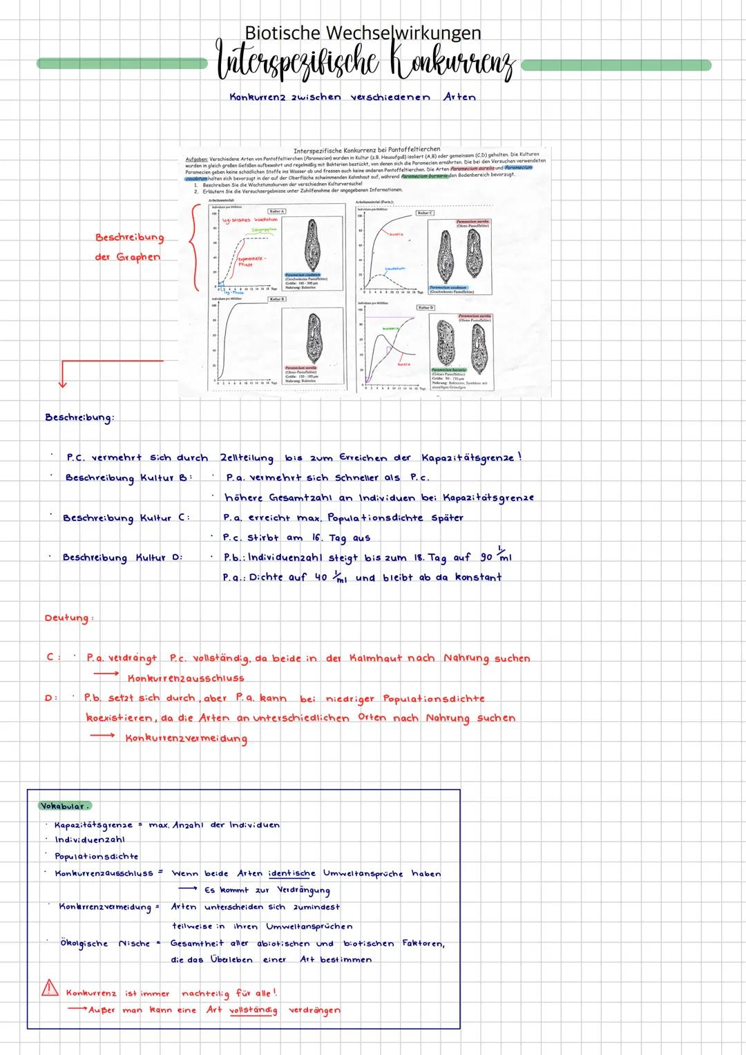 Interspezifische Konkurrenz