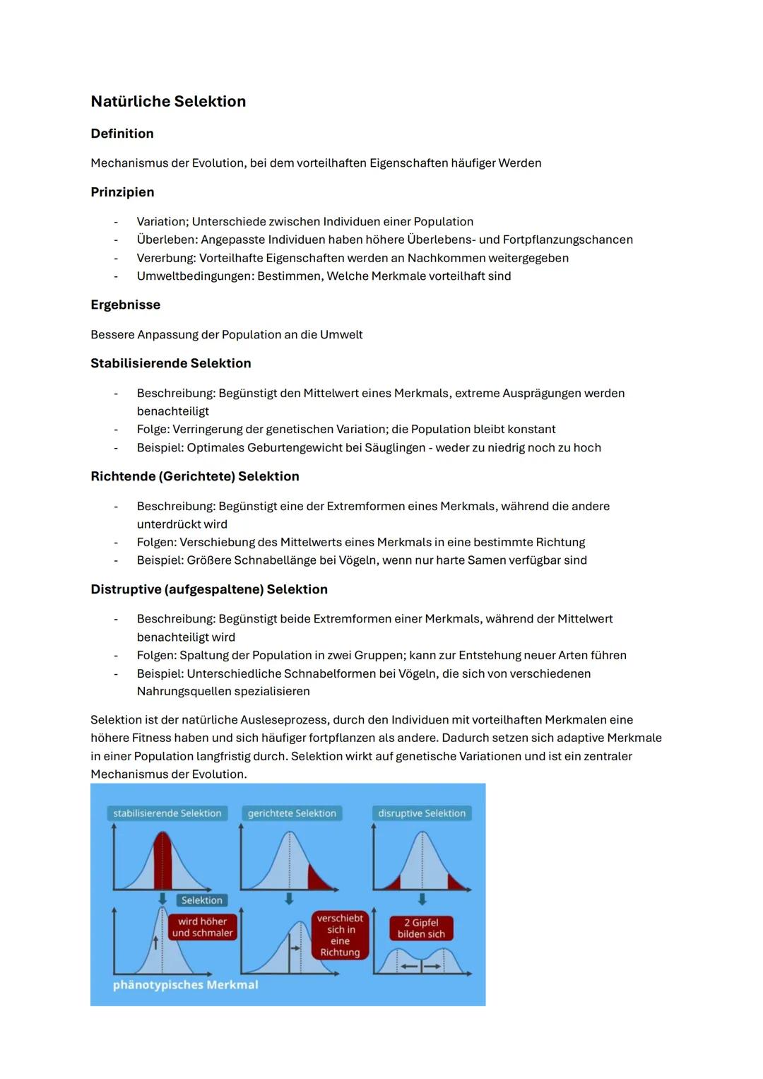 Abitur Biologie NRW 2025 Evolution
Begriffe
Population
Genpool
Mutation
Rekombination
Selektion
Migration
Isolierung
Allelfrequenz
Reprodukt