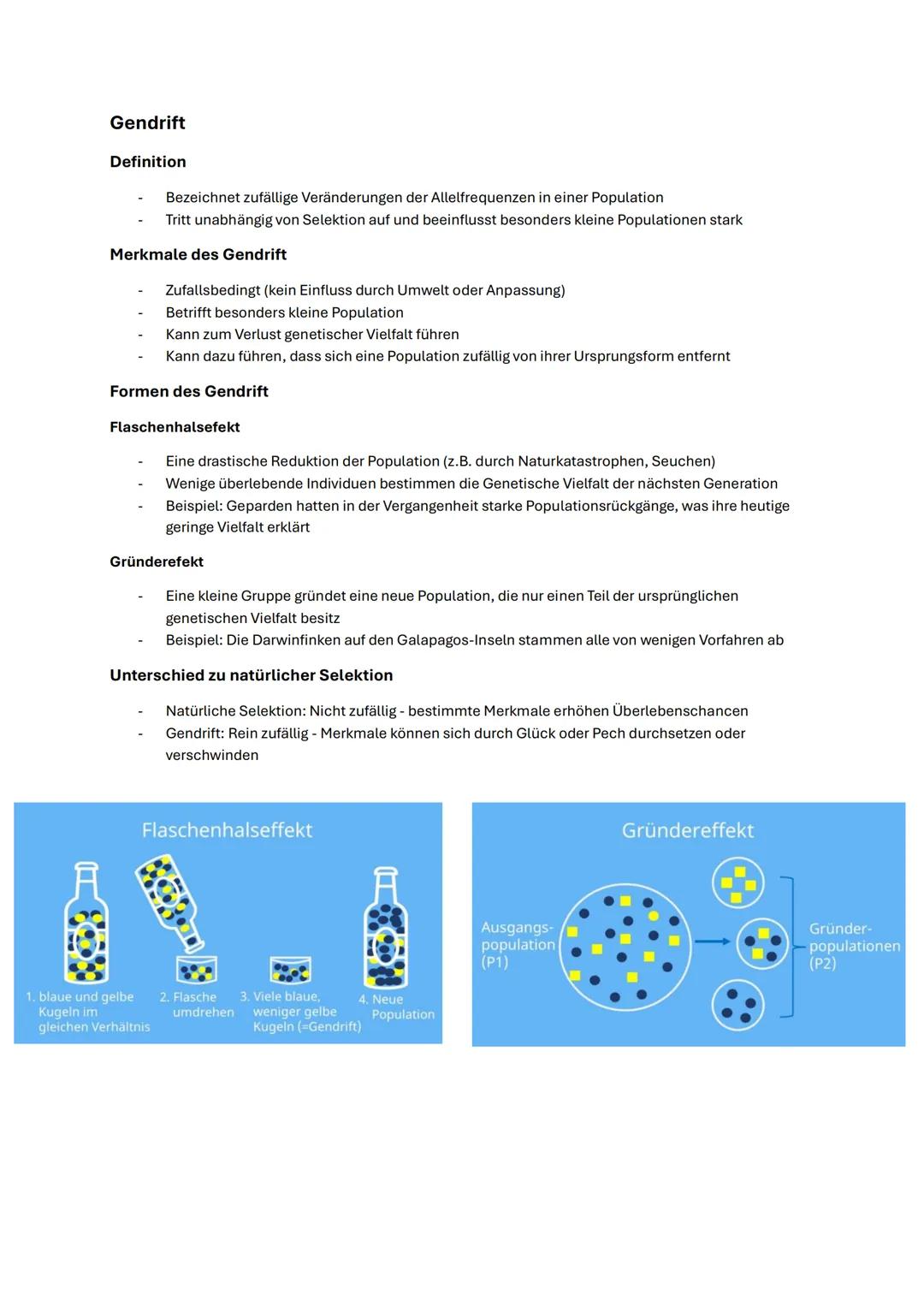 Abitur Biologie NRW 2025 Evolution
Begriffe
Population
Genpool
Mutation
Rekombination
Selektion
Migration
Isolierung
Allelfrequenz
Reprodukt