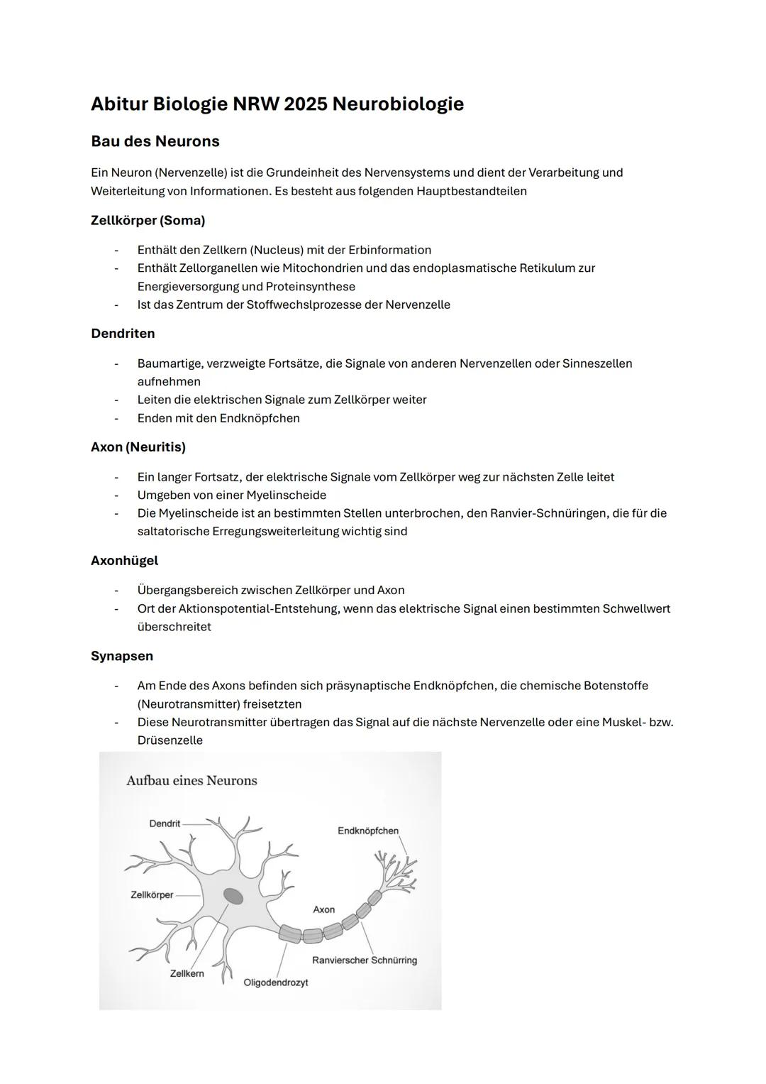 Biologie Abitur 2025 LK Neurobiologie
