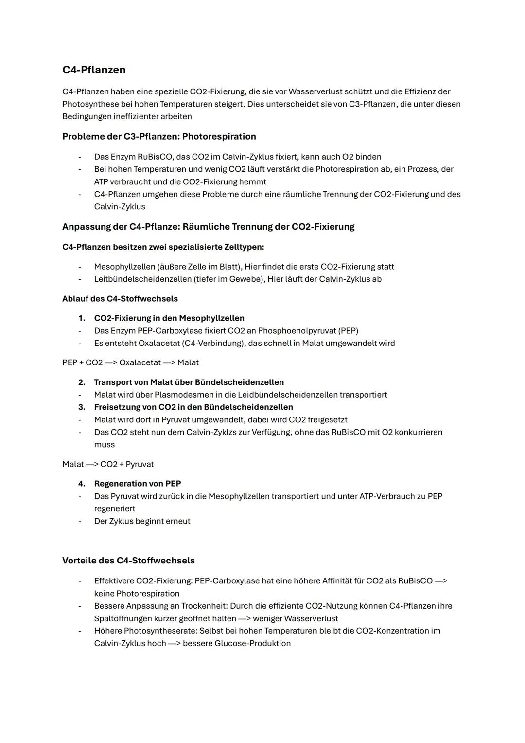# Abitur Biologie NRW 2025 Fotosynthese
Funktionale Angepasstheit der Fotosynthese
# Blattaufbau
Das Blatt ist das wichtigste Organ der F