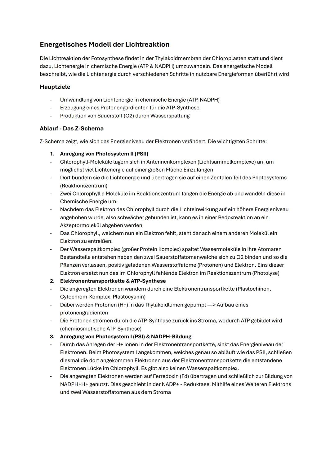 # Abitur Biologie NRW 2025 Fotosynthese
Funktionale Angepasstheit der Fotosynthese
# Blattaufbau
Das Blatt ist das wichtigste Organ der F