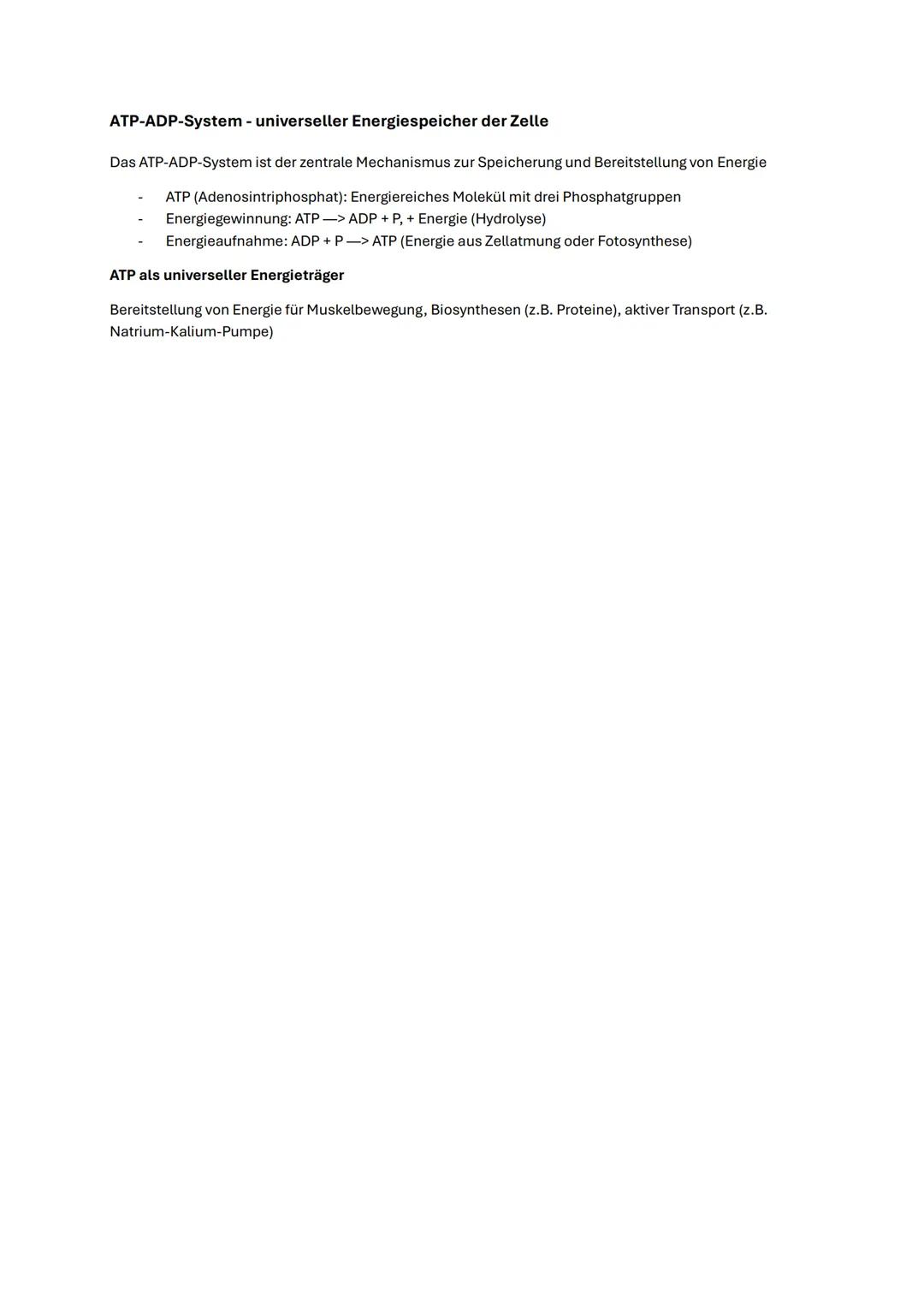 --- OCR Start ---
Biologie Abitur NRW 2025 Autotropher Stoffwechsel
Enzyme
Aufbau
Enzyme sind meist Proteine, die aus einer oder mehreren Po