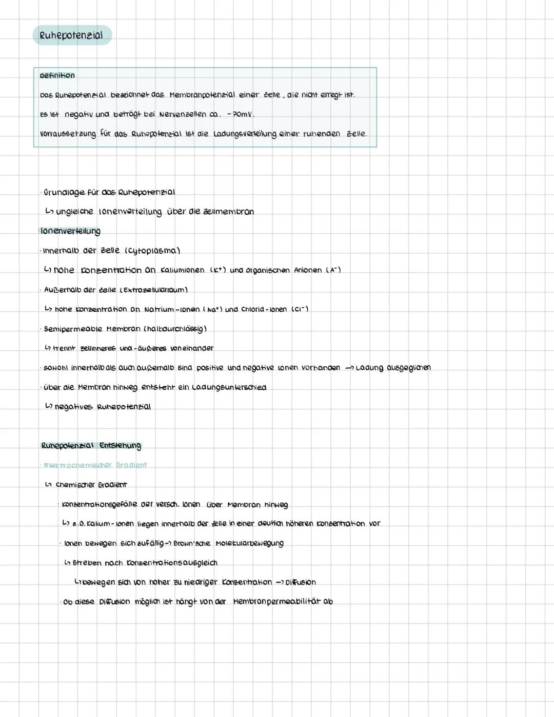 # Bau und Funktion der Nervenzelle
Nervenzelle = Neuron
unterschiedliche Abschnitte
-> Dendriten
zellausläufer des zellkörpers
Kontakt