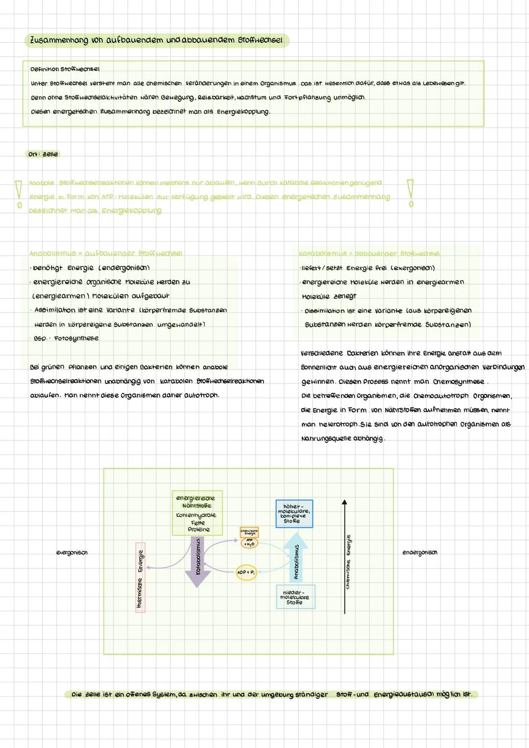 Stoffwechselphysiologie Abi 25