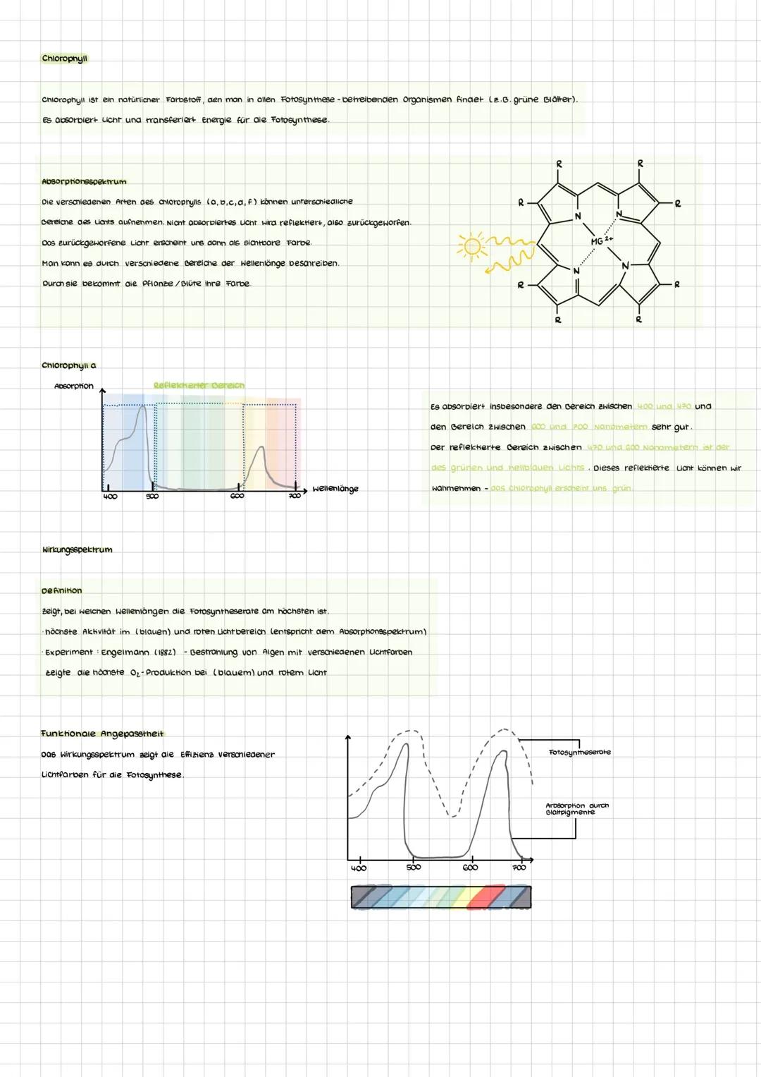 # Zusammenhang von aufbauendem und abbauendem Stoffwechsel
## Definition Stoffwechsel
Unter Stoffwechsel versteht man alle chemischen Verän