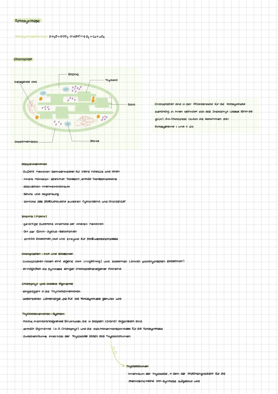# Zusammenhang von aufbauendem und abbauendem Stoffwechsel
## Definition Stoffwechsel
Unter Stoffwechsel versteht man alle chemischen Verän