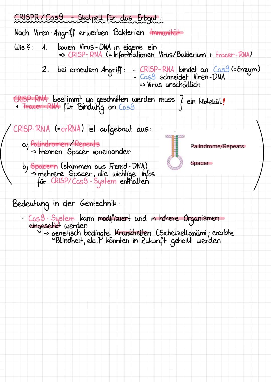 Gentechnik - Zusammenfassung_
=
gezielte genetische Veränderung von Organismen
Ergebnis: GVO (genetisch veränderte Organismen) / transgene