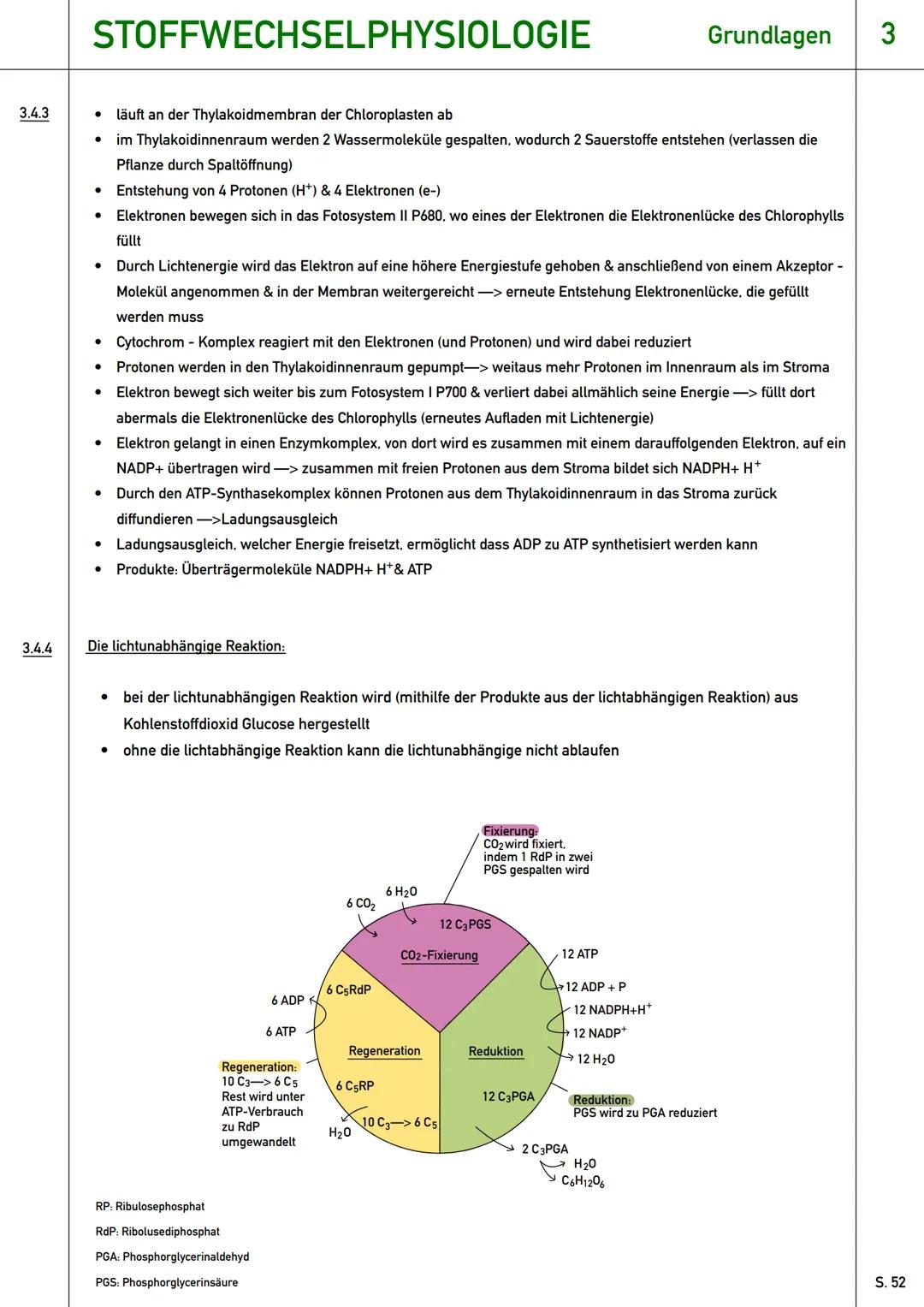 # Stoffwechselphysiologie
Qualifikationsphase (Q1) --- OCR Start ---
STOFFWECHSELPHYSIOLOGIE
Grundlagen 3
3.0 Einstieg: Assimilation und Di