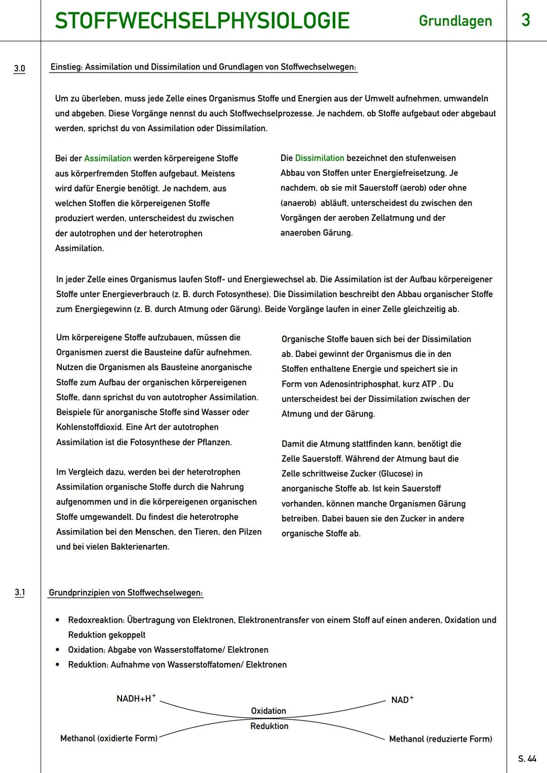 # Stoffwechselphysiologie
Qualifikationsphase (Q1) --- OCR Start ---
STOFFWECHSELPHYSIOLOGIE
Grundlagen 3
3.0 Einstieg: Assimilation und Di