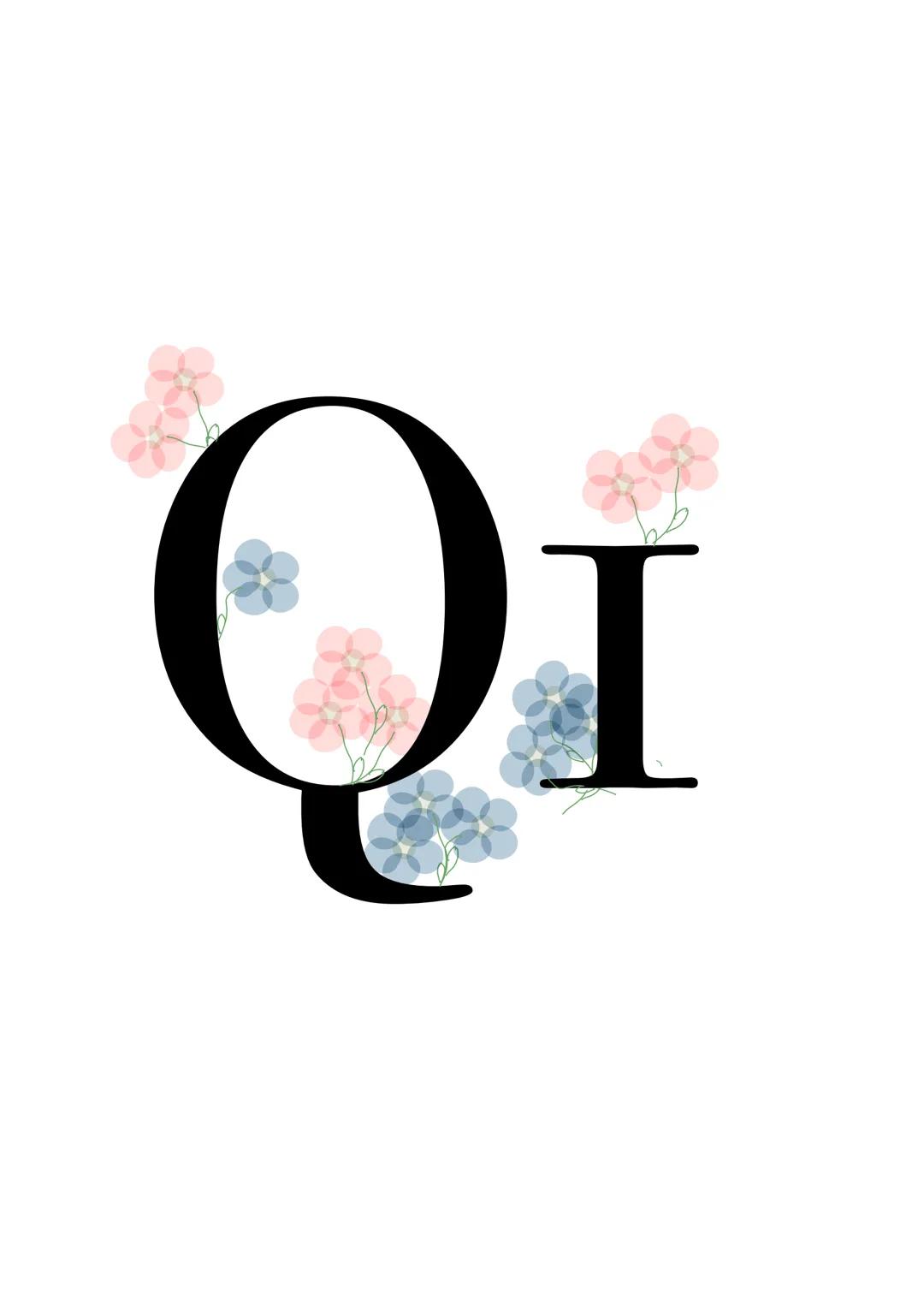 Qi # Renaissance
Zeitraum:
ca 1400 - 1620 | GoLik - Renaissance - Barock
Wort: franz. Wiedergeburt, Wiedererweckung
Ziel Wiederbelebung d