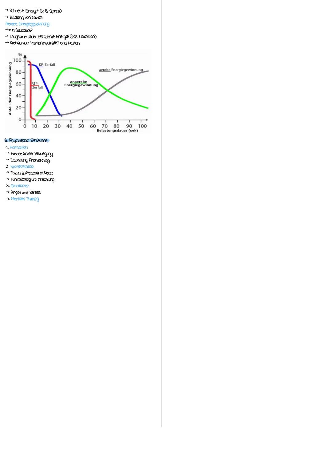 # SPORT
Bewegungsienre
1. Bewegungsanalyse nach Meiner/Sonnabel
→Bewgungsphasenmodell
Bewegungsmerkmale
2. Biomecnanisone Prinzipien
3