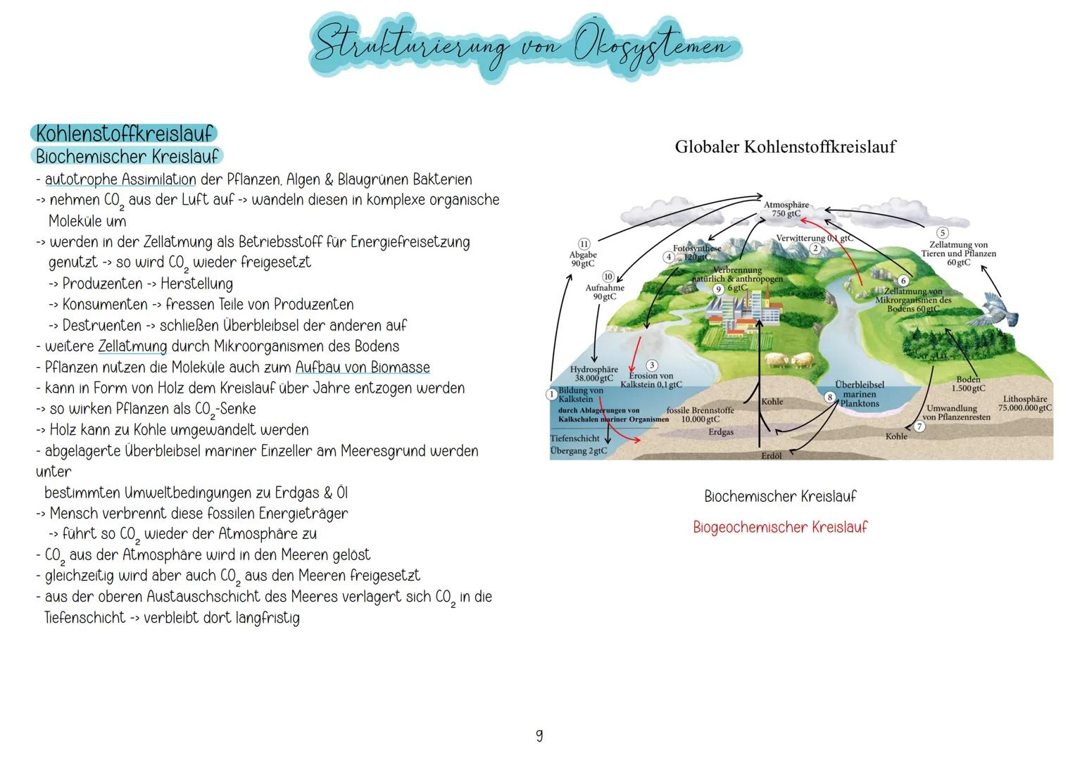 # Inhaltsverzeichnis
Q2
Inhalt | Seite
---|---
Q2 Ökologische und stoffwechselphysiologische
Zusammenhänge
Q2.1 Strukturierung von Ökosys