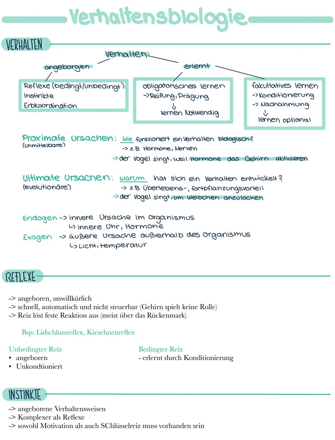 # Verhaltensbiologie.
VERHALTEN
Verhalten-
angeborgen
Reflexe (bedingt/unbedingt)
Instinkte
Erbkoordination
erlernt
obligatorisches le