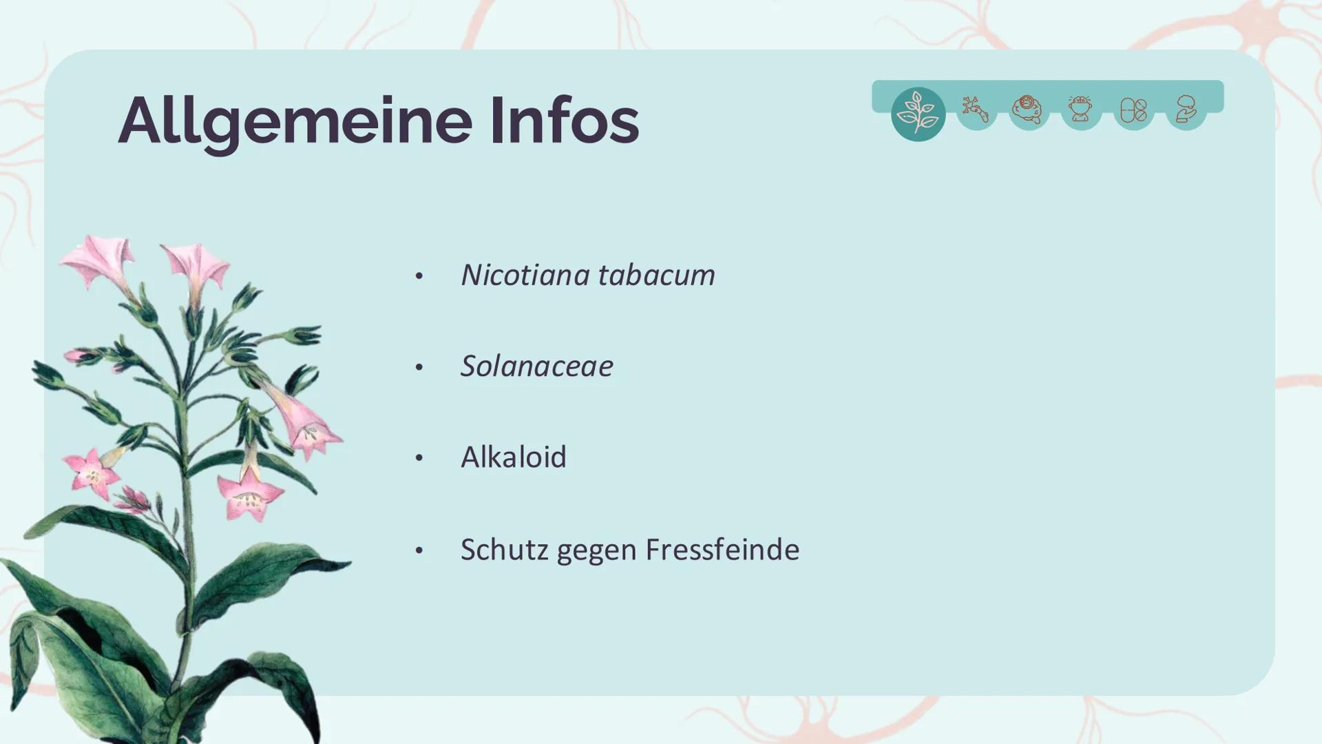 # Das Nervengift
# Nikotin
Amelie Dehm, Josefine Lang # Inhalt
Allgemeine Infos
Folgen
Nikotin an der Synapse
Vergiftung und Therapien