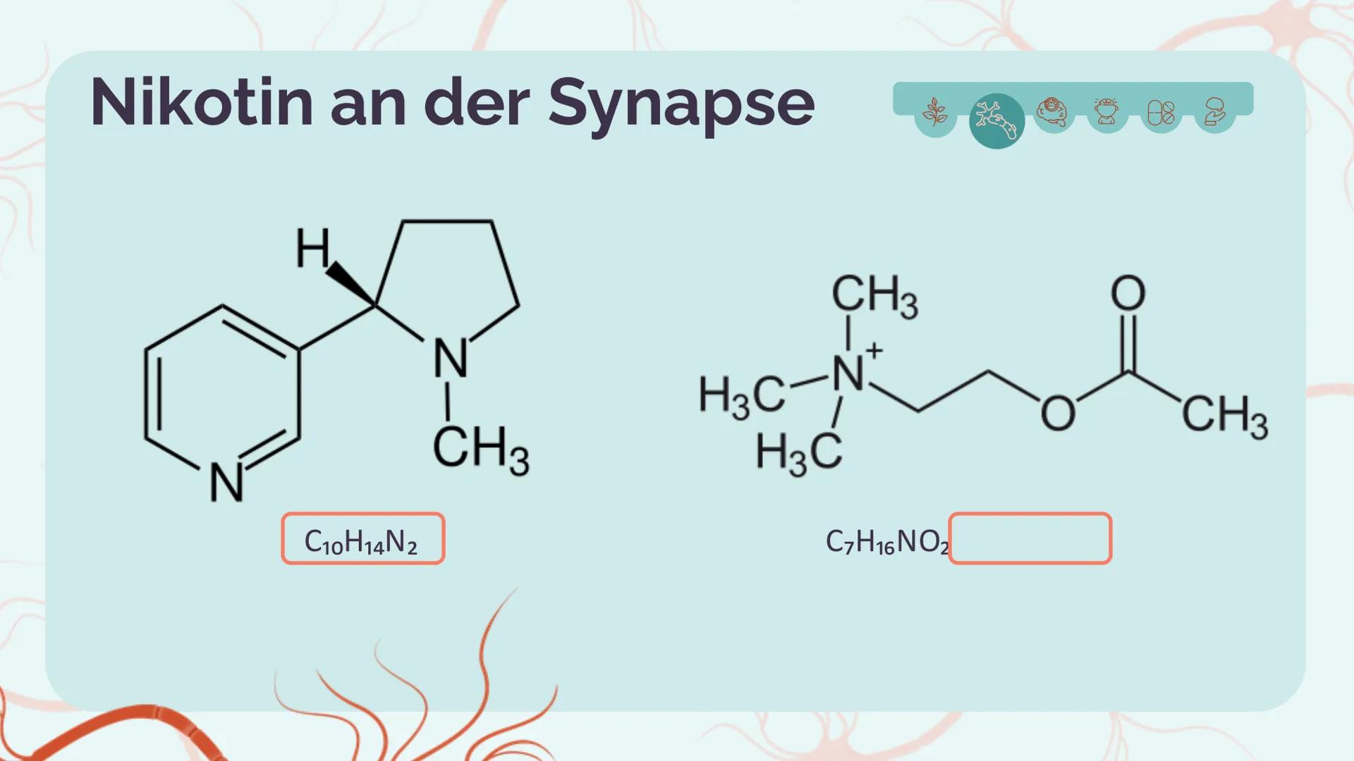 # Das Nervengift
# Nikotin
Amelie Dehm, Josefine Lang # Inhalt
Allgemeine Infos
Folgen
Nikotin an der Synapse
Vergiftung und Therapien