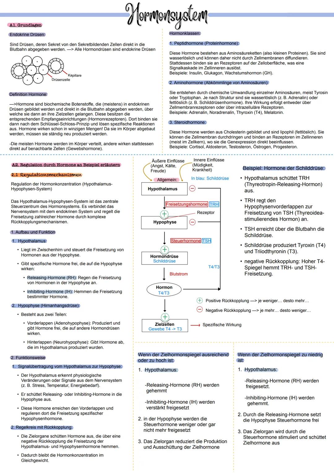 # Hormonsystem
Grundlagen: Hormone, endokrine Drüsen, Hormonklassen: Peptidhormone, Aminohormone,
Steroidhormone
>
die Regulation durch Ho
