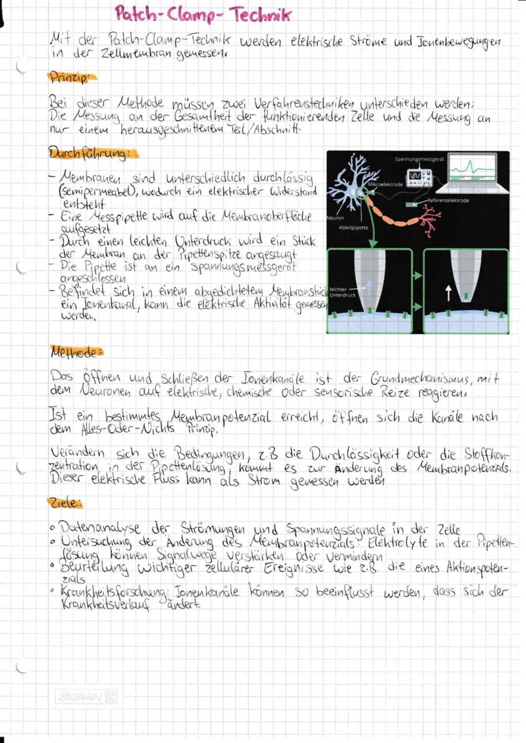 --- OCR Start ---
Neurobiologie
Aufbau und Funktion eines Neurons:
andere
Nervenzelle
SCHWANNsche Zelle
Zellmembran
-Zellkern
-Axonhügel
De